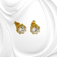8K Gold Zircon Stud Earrings