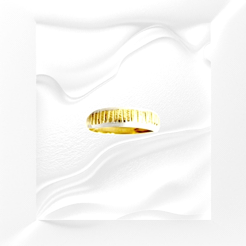 9K Gold Two tone ring