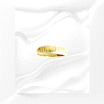 9K Gold Two tone ring