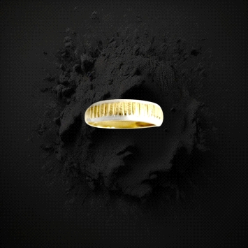 9K Gold Two tone ring