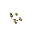 18K Gold screw back star earrings