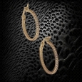 18K Gold Hoop Earrings with Zircon