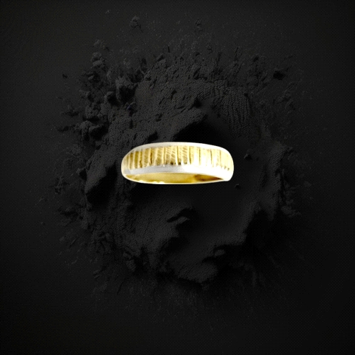 9K Gold Two tone ring